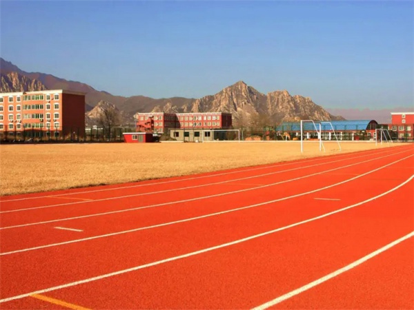 阿克苏地区塑胶弹性面层学校塑胶跑道 - 价格